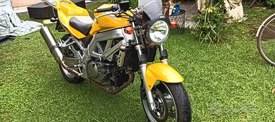Suzuki SV 650 - 2005