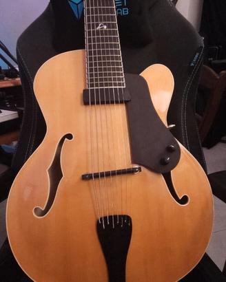 Chitarra Archtop 8 corde - 8 strings + accessori