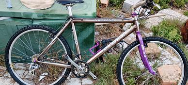 bicicletta alluminio