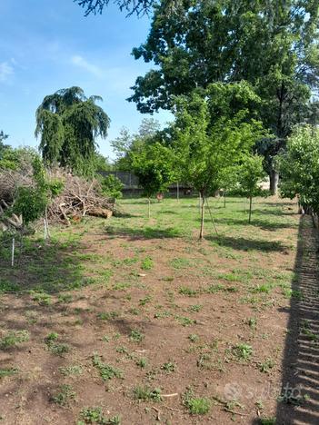 Terreno agricolo recintato in muratura con acqua