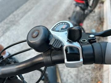 Bici elettrica
