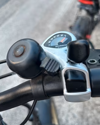 Bici elettrica