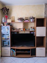 Mobile TV 