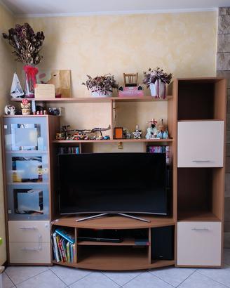 Mobile TV 