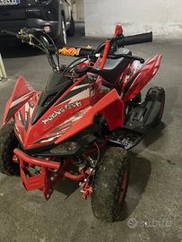 Mini quad