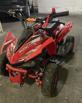 Mini quad
