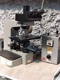 microscopio professionale leitz. 
