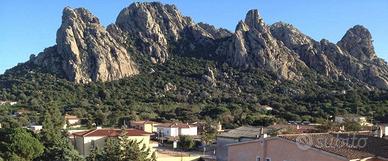 Olbia, Loc. San Pantaleo, villa con giardino