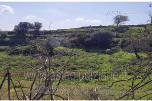 Terreno Agricolo Ragusa [A4291983]