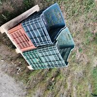 nr 4 cassette raccolta olive 