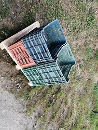 nr 4 cassette raccolta olive 