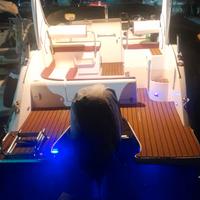 Cruiser coverlin con fuoribordo