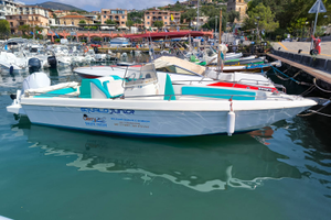 Vendita Squalo Junior 23