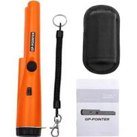 Pintpoint metal detector