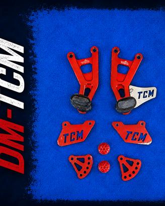 Lotto Ricambi Minimoto Dm Tcm 