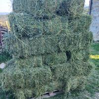 BALLE-BALLETTE-FIENO- ERBA MEDICA