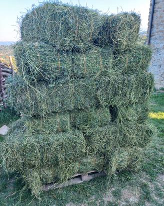 BALLE-BALLETTE-FIENO- ERBA MEDICA