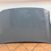 Cofano e Parafanghi DX e SX Ford Puma Gray Matter 