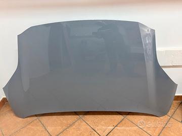 Cofano e Parafanghi DX e SX Ford Puma Gray Matter 