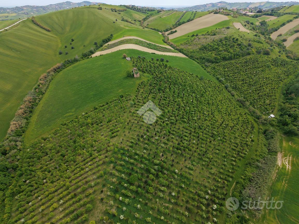 TER. AGRICOLO A SANT'OMERO - Vista 2