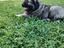 Immagine 5