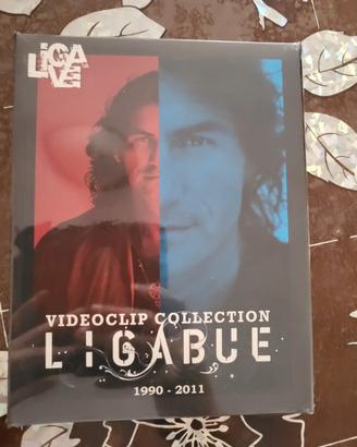 Ligabue DVD videoclip 