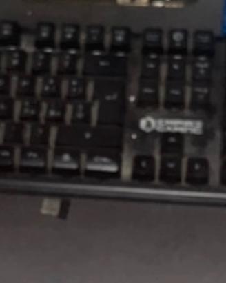 Tastiera e mouse wireless