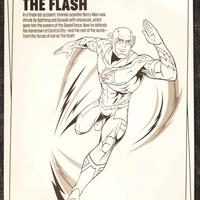 668 - SCHEDA "THE FLASH" - DC COMICS