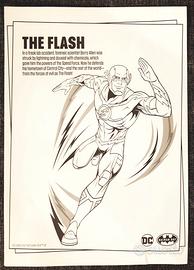 668 - SCHEDA "THE FLASH" - DC COMICS