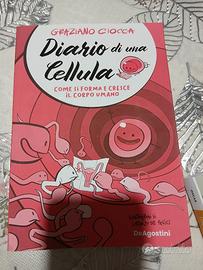 libri didattici 