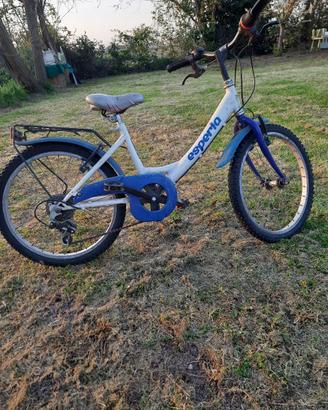 Bicicletta da bambino ruota 20