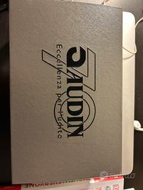 Apparecchio acustico Audin Videx Moment