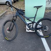 Orbea occam