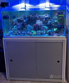 Acquario marino 250lt