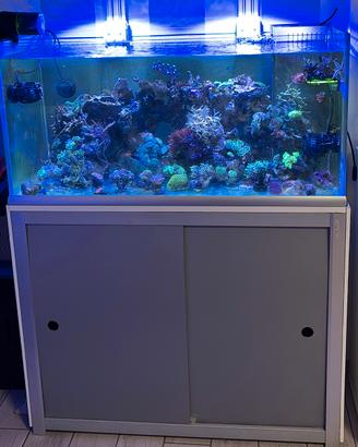 Acquario marino 250lt