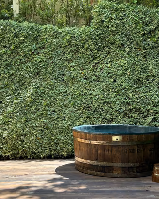 MINI PISCINA DI LUSSO REALIZZATA IN ANTICA BOTTE