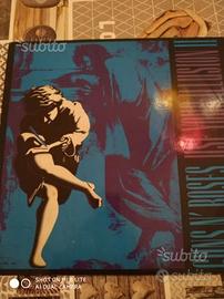 Vinile Guns n' Roses