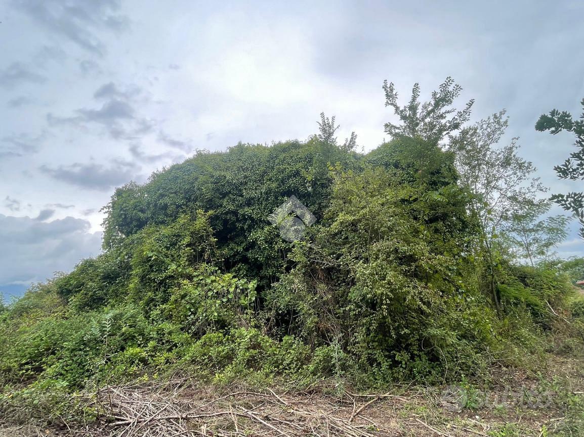RUSTICO A PIEDIMONTE SAN GERMANO - Vista 5