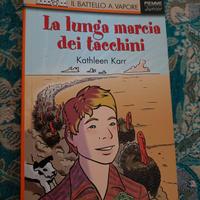 "La lunga marcia dei tacchini" di K. Karr