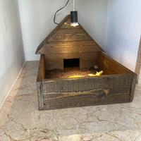 Terrario artigianale in legno per rettili