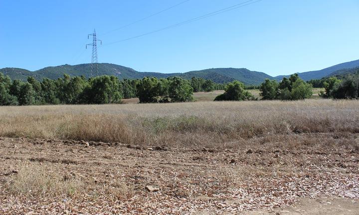 18 HA circa vicino alle spiagge di Costa Rei