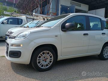 FIAT PANDA 1.2 BZ KM. 57000 UNICO PROPRIETARIO