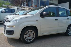 FIAT PANDA 1.2 BZ KM. 57000 UNICO PROPRIETARIO