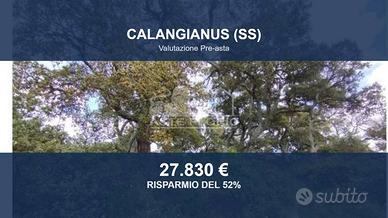 Immobile in asta di 32809 m² a Calangianus