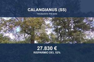 Immobile in asta di 32809 m² a Calangianus