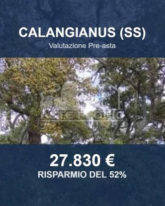 Immobile in asta di 32809 m² a Calangianus
