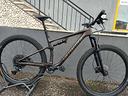 mtb-specialized-epic-evo
