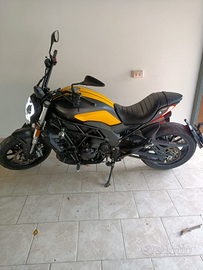 Benelli 502 C 2021