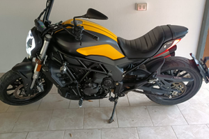Benelli 502 C 2021