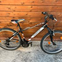 Bici MTB Rosato Vertical 26’